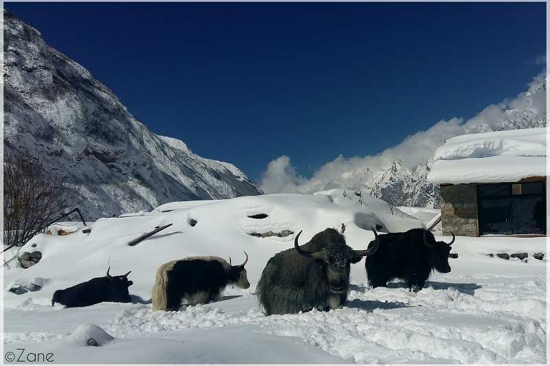 dabalikhabar-kyanjing-valley-7