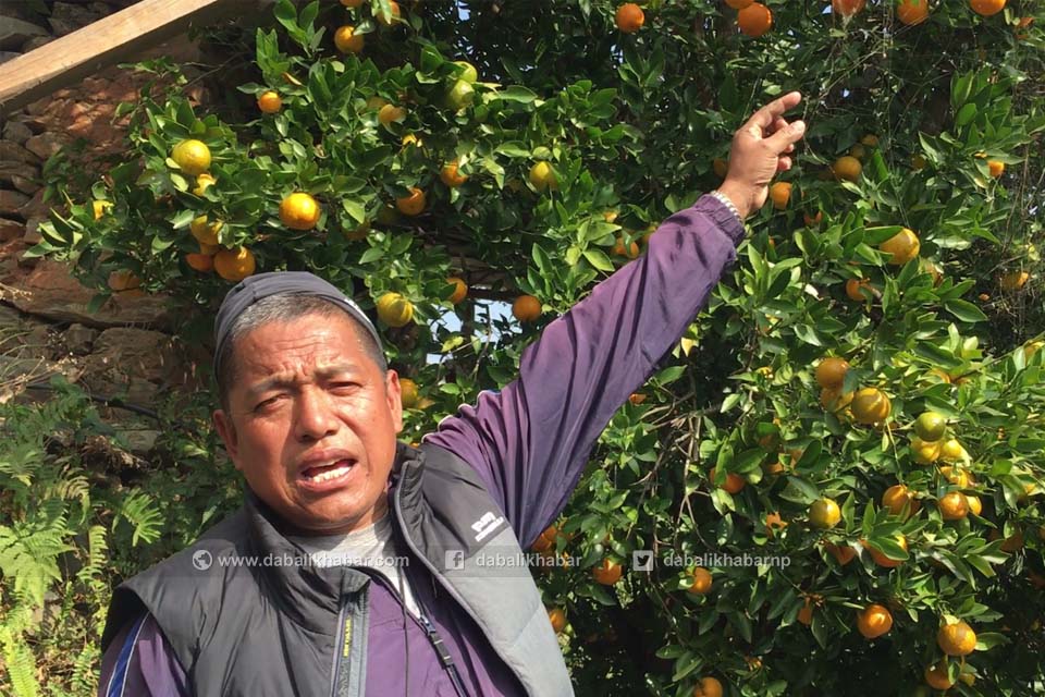 nara-bahadur-tamang-bungtang