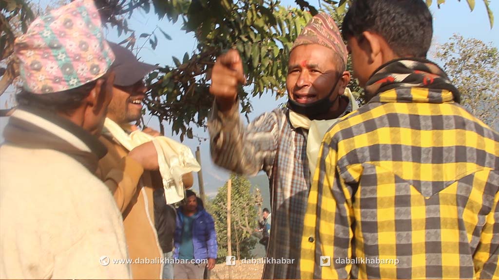 ox fight nuwakot kattichhap